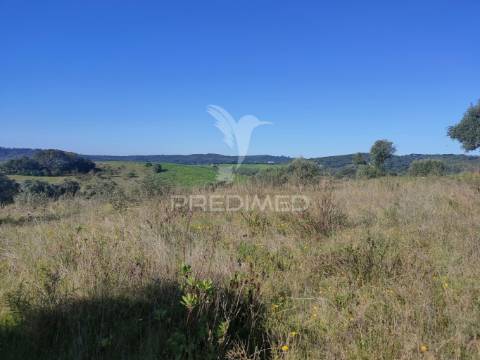 Terreno rústico - monsanto, alcanena