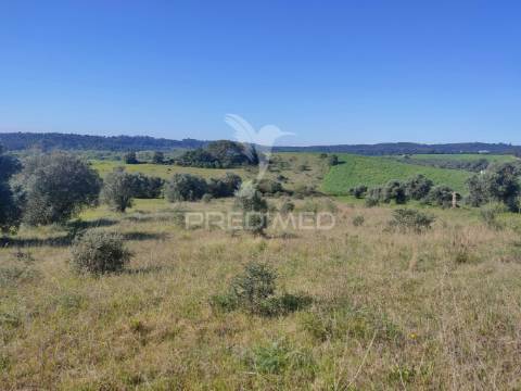 Terreno rústico - monsanto, alcanena