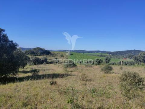 Terreno rústico - monsanto, alcanena
