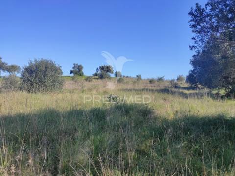 Terreno rústico - monsanto, alcanena