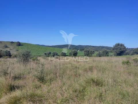 Terreno rústico - monsanto, alcanena