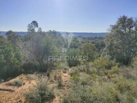 Terreno rústico - monsanto, alcanena