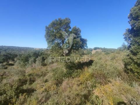 Terreno rústico - monsanto, alcanena