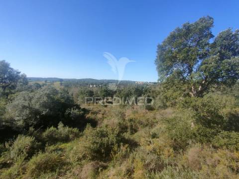 Terreno rústico - monsanto, alcanena