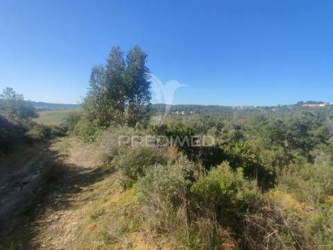 Terreno rústico - monsanto, alcanena