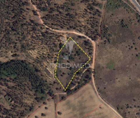 Terreno rústico - monsanto, alcanena