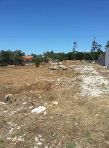 Lote de terreno para construção industrial em turquel