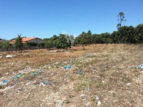 Lote de terreno para construção industrial em turquel
