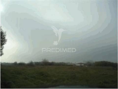 Terreno rústico com 1.200 m², cabecinhas, vagos, aveiro