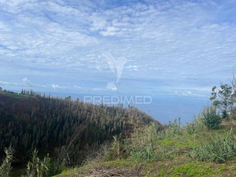 Moradia em pedra,com terreno (1.000m2) e 2 palheiros