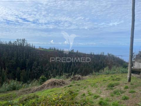 Moradia em pedra,com terreno (1.000m2) e 2 palheiros