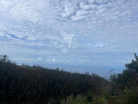 Moradia em pedra,com terreno (1.000m2) e 2 palheiros