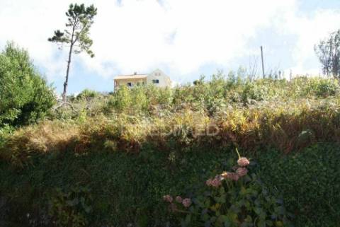 Vendo 2 moradias para recuperar implantadas num terreno de 800 m2  com projecto aprovado p. moniz