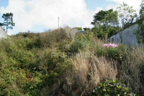 Vendo 2 moradias para recuperar implantadas num terreno de 800 m2  com projecto aprovado p. moniz