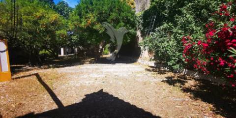 Prédio urbano para venda em portalegre