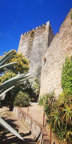 Prédio urbano para venda em portalegre