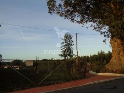 Terreno urbano no cimo da vila – são joão de ovar, ovar (aveiro)