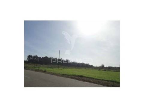 Terreno rustico ponte de vagos