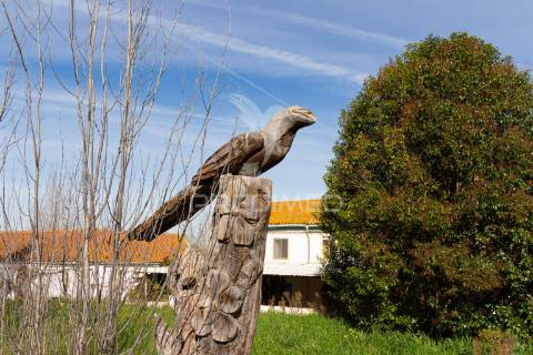 Quinta das sequeiras