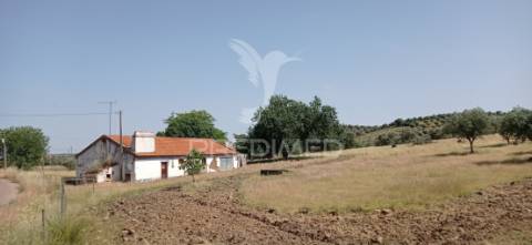 Monte alentejano 2.3 ha pavia, mora