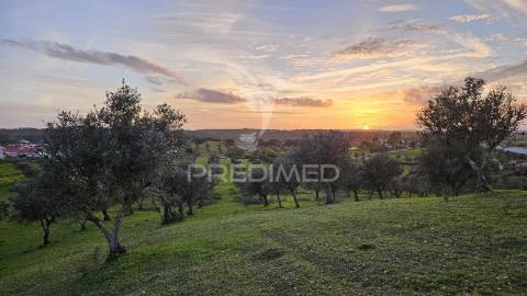 Monte alentejano 2.3 ha pavia, mora