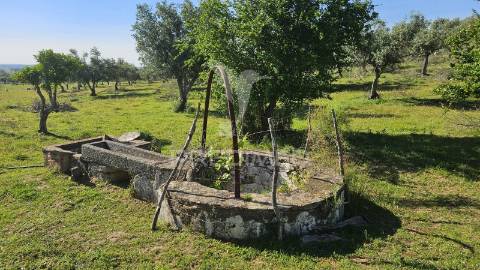 Monte alentejano 2.3 ha pavia, mora