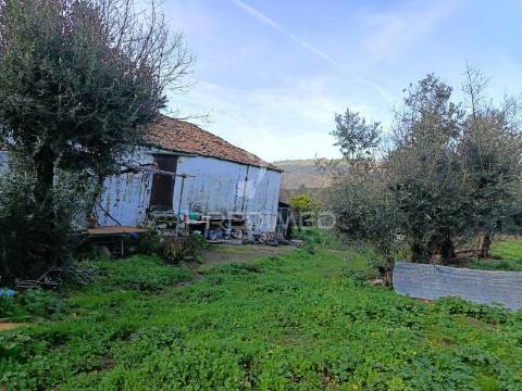 Terreno no centro das carreiras
