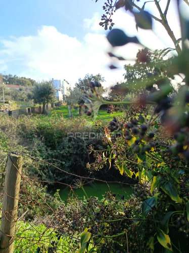 Terreno no centro das carreiras