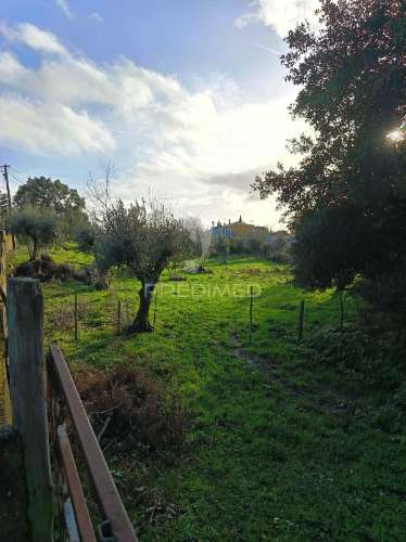 Terreno no centro das carreiras