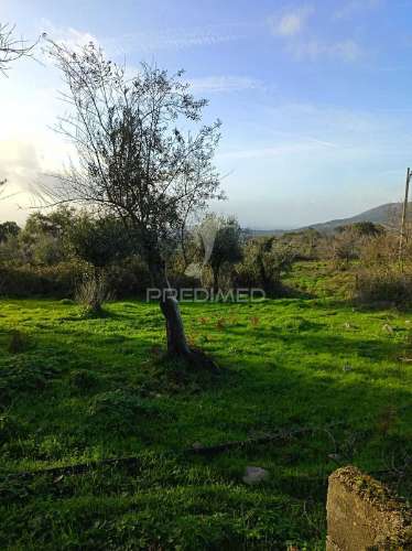 Terreno no centro das carreiras