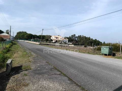 Terreno de 6.200m2 na lapa (cartaxo)