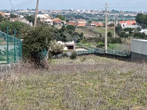 Terreno de 6.200m2 na lapa (cartaxo)