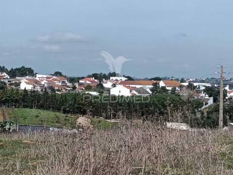 Terreno de 6.200m2 na lapa (cartaxo)