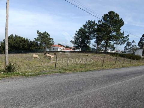 Terreno de 6.200m2 na lapa (cartaxo)