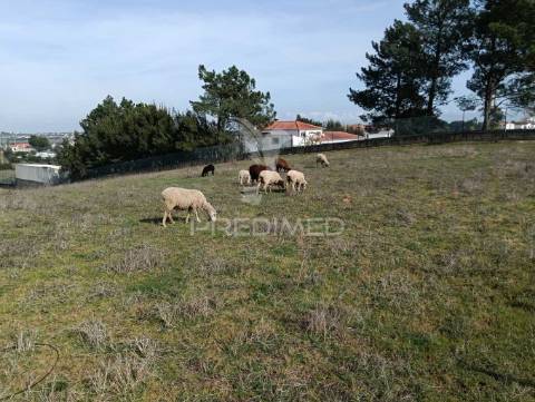 Terreno de 6.200m2 na lapa (cartaxo)