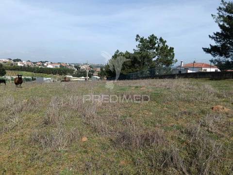 Terreno de 6.200m2 na lapa (cartaxo)