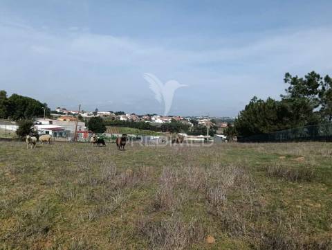 Terreno de 6.200m2 na lapa (cartaxo)