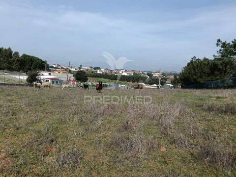 Terreno de 6.200m2 na lapa (cartaxo)