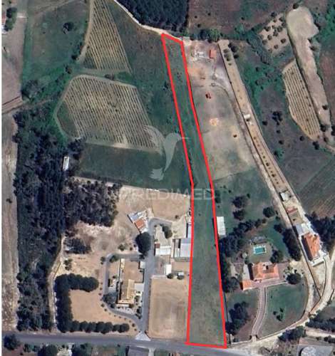 Terreno de 6.200m2 na lapa (cartaxo)