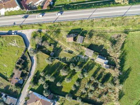 Ruina t3 para reconstrução total