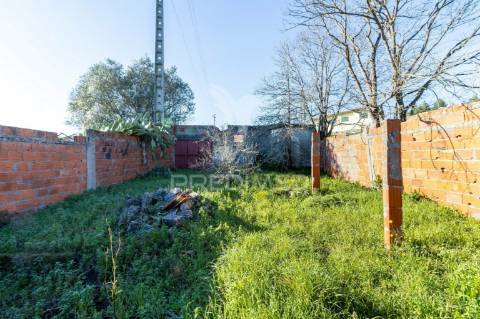 Ruina t3 para reconstrução total