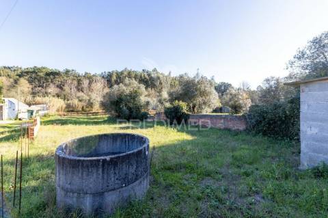 Ruina t3 para reconstrução total