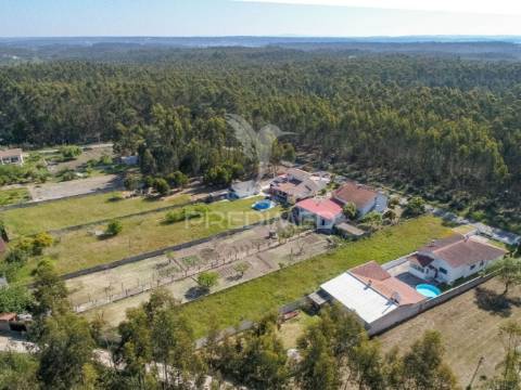 Oportunidade unica de construção em matos verdes - marinha grande