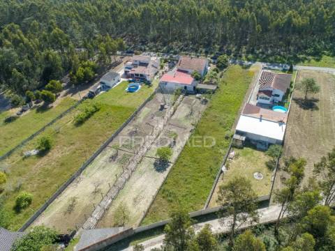 Oportunidade unica de construção em matos verdes - marinha grande