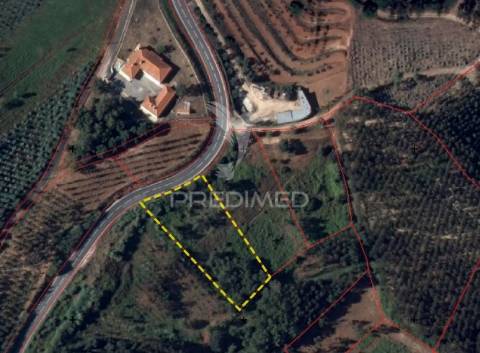 Terreno rústico com 2560m2 no cadaval