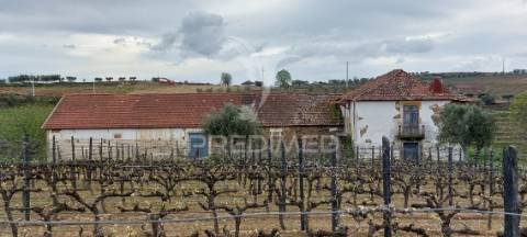 Quinta centenária de 1919 – favaios, vila real