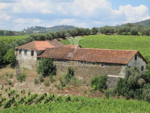 Quinta centenária de 1919 – favaios, vila real