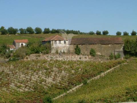 Quinta centenária de 1919 – favaios, vila real