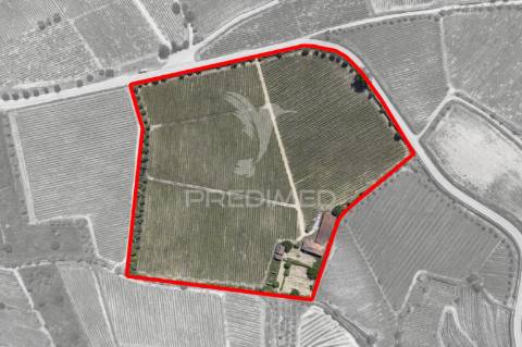 Quinta centenária de 1919 – favaios, vila real