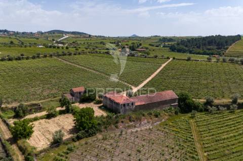 Quinta centenária de 1919 – favaios, vila real